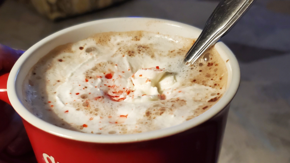 Protein Hot Chocolate - Big Fat Skinny Dish